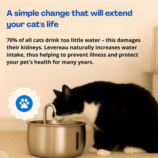 Cat Water Fountain with Stainless Steel Construction and Quadruple Filtration | for Dogs and Cats-Pet Water Fountains-Levereau-Default-Levereau