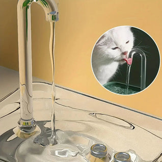 Cat Water Fountain with Recirculation Filter and Ultra-Quiet Operation for Healthy Hydration