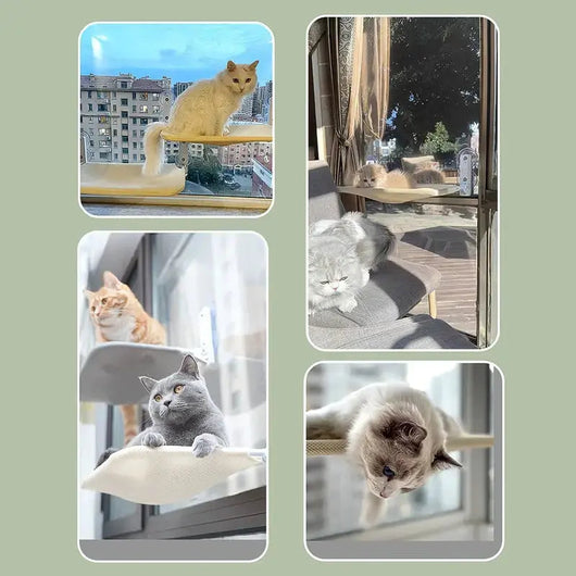 Cat Window Hammock with Suction Cups | Cozy Elevated Bed for Cats-Cat Hammocks-Levereau-Grey plush-Levereau