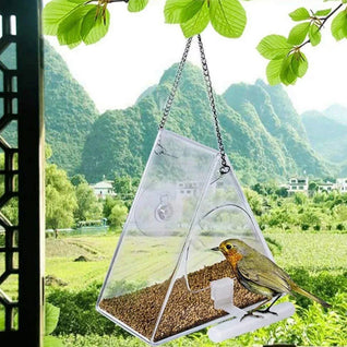 Clear Acrylic Bird Feeder with Strong Suction Cup for Outdoor Use