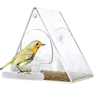 Clear Acrylic Bird Feeder with Strong Suction Cup for Outdoor Use