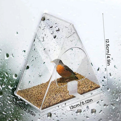 Clear Acrylic Bird Feeder with Strong Suction Cup for Outdoor Use 3