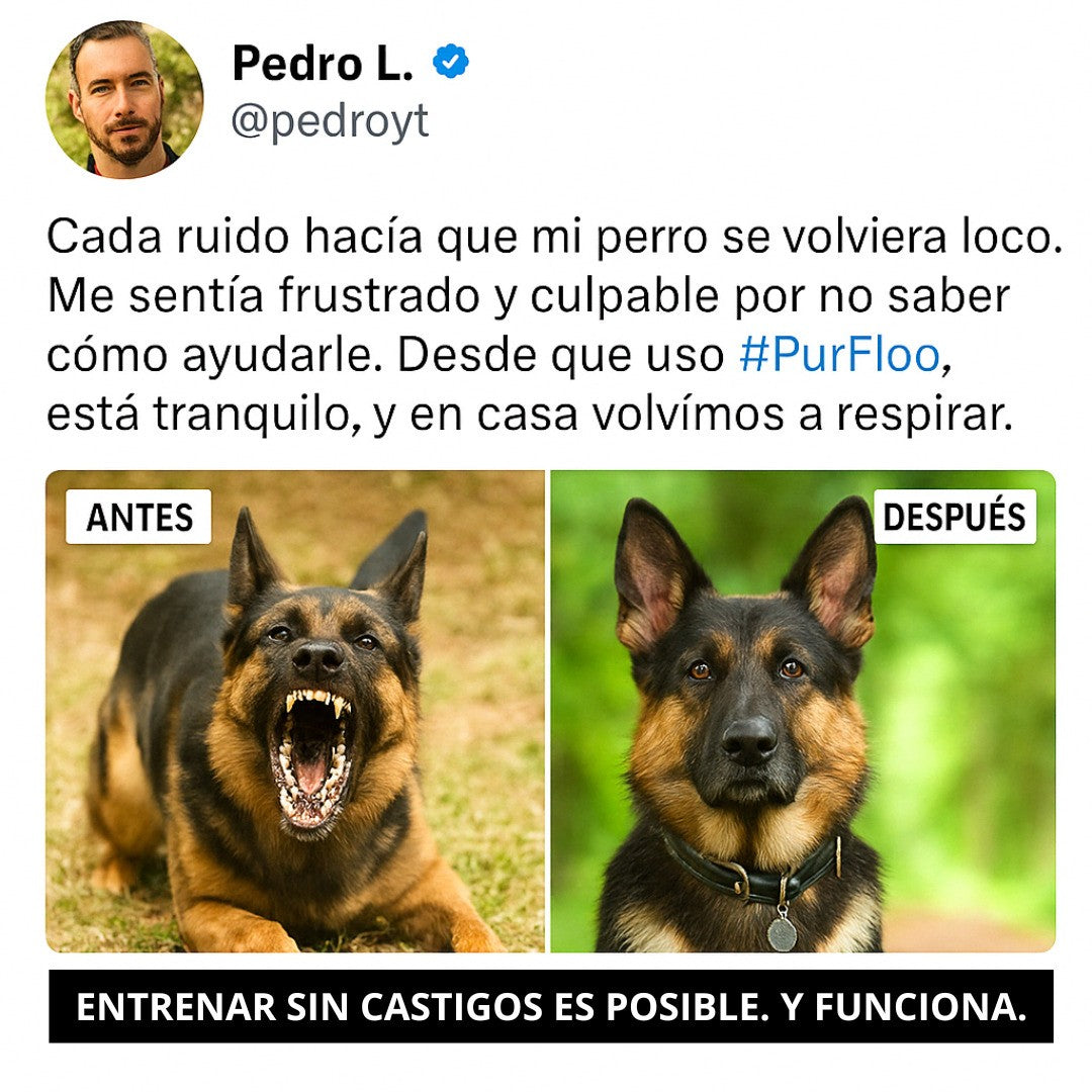 PurFloo™ | Mira Cómo Los Malos Hábitos Desaparecen