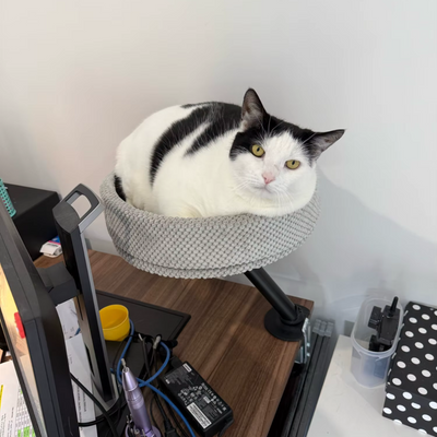 CozyPaw | Cat Bed Desk Perch with 360° Rotation and Soft Velvet for Cats up to 11 kg 2