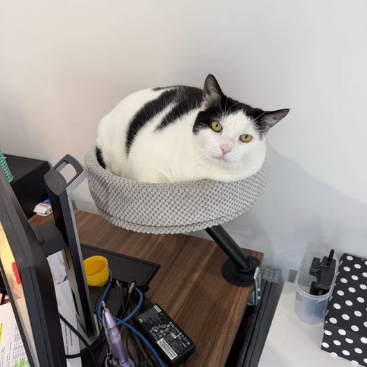 CozyPaw | Cat Bed Desk Perch with 360° Rotation and Soft Velvet for Cats up to 11 kg 2