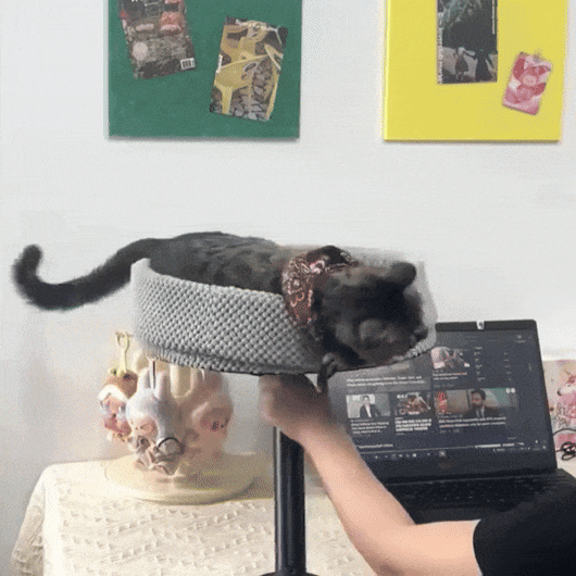 CozyPaw | Cat Bed Desk Perch with 360° Rotation and Soft Velvet for Cats up to 11 kg 3