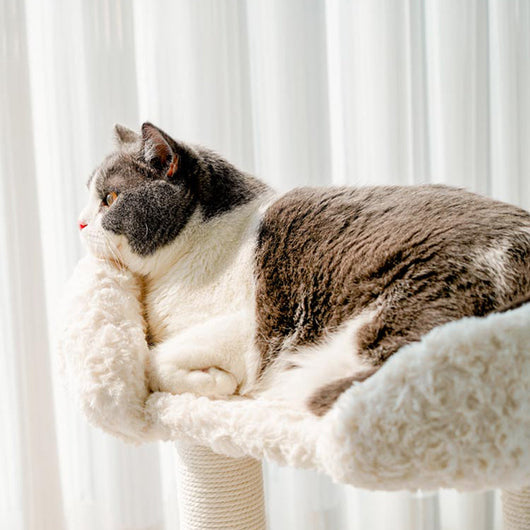 CozyPaw | Modern Cat Tree with Velvet Fabric and Sisal Posts for Indoor Cats in Small Spaces 6