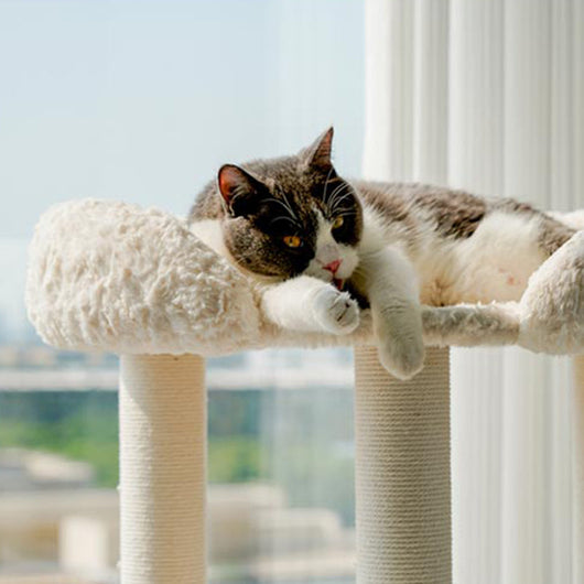 CozyPaw | Modern Cat Tree with Velvet Fabric and Sisal Posts for Indoor Cats in Small Spaces 7