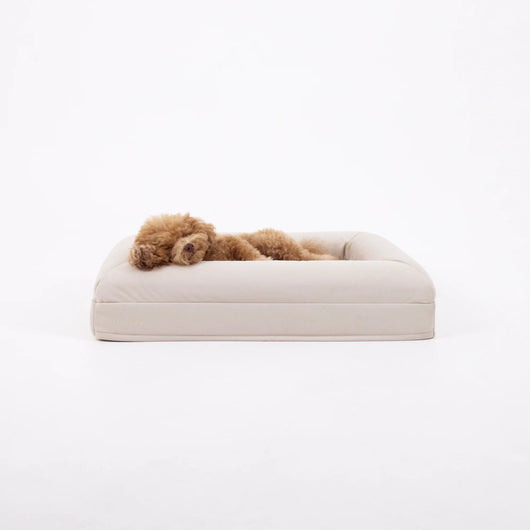 CozyPaw | Orthopedic Dog Bed with Soft Microfiber Cover for Large Dogs — Ultimate Comfort and Support 0