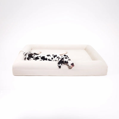 CozyPaw | Orthopedic Dog Bed with Soft Microfiber Cover for Large Dogs — Ultimate Comfort and Support 10