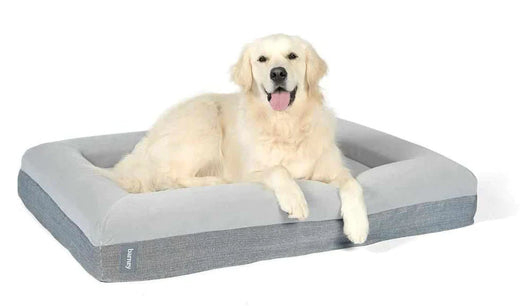 CozyPaw | Orthopedic Dog Bed with Soft Microfiber Cover for Large Dogs — Ultimate Comfort and Support 3