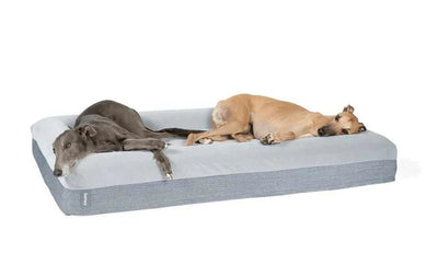 CozyPaw | Orthopedic Dog Bed with Soft Microfiber Cover for Large Dogs — Ultimate Comfort and Support 4