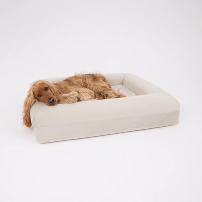 CozyPaw | Orthopedic Dog Bed with Soft Microfiber Cover for Large Dogs — Ultimate Comfort and Support 6