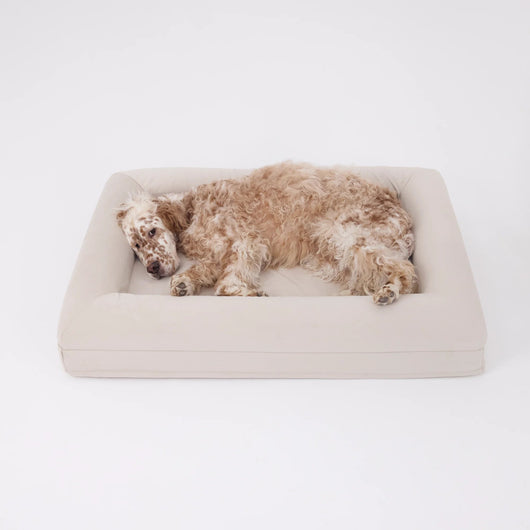 CozyPaw | Orthopedic Dog Bed with Soft Microfiber Cover for Large Dogs — Ultimate Comfort and Support 7