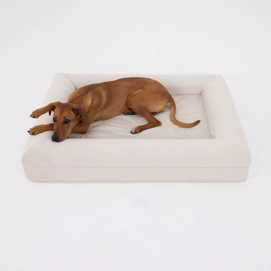 CozyPaw | Orthopedic Dog Bed with Soft Microfiber Cover for Large Dogs — Ultimate Comfort and Support 8