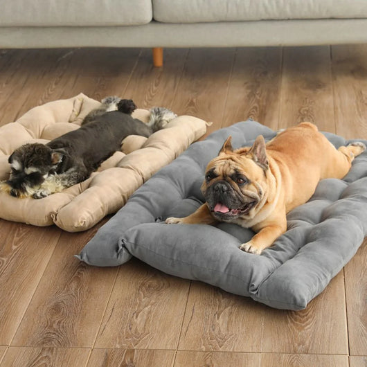 CozyPaw | Warm Dog Sofa Bed with Soft Cushion for Small and Large Dogs - Machine Washable Cover 3