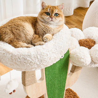 Creative Cat | Modern Cat Tree with Solid Wood and Sisal for Indoor Cats