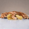 Cuddly Dog Toy with Simulated Heartbeat for Anxiety Relief for Small to Medium Dogs