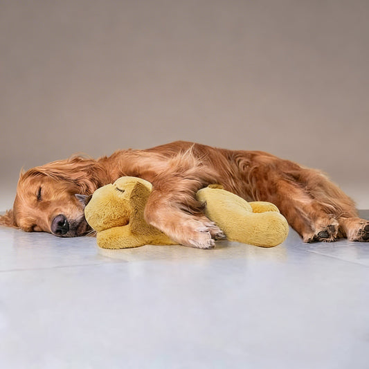 Cuddly Dog Toy with Simulated Heartbeat for Anxiety Relief for Small to Medium Dogs-Plush Dog Toys-Levereau-Default-Levereau