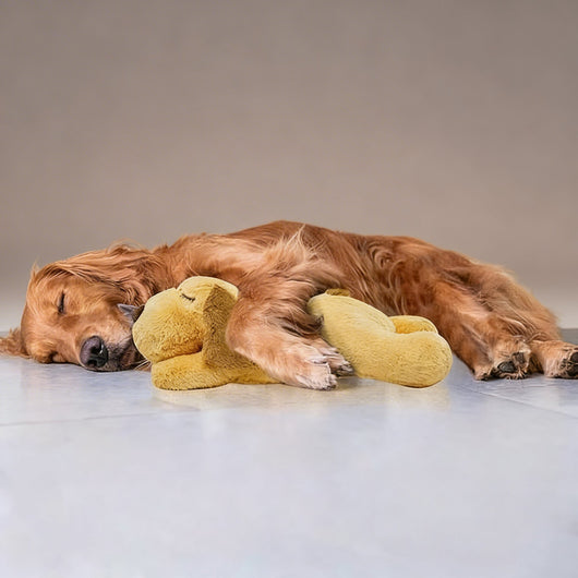 Cuddly Dog Toy with Simulated Heartbeat for Anxiety Relief for Small to Medium Dogs-Plush Dog Toys-Levereau-Default-Levereau
