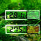 Digital Fish Tank Thermometer with LCD Display for Accurate Temperature Measurement