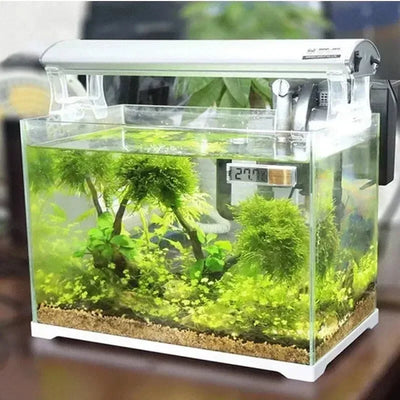 Digital Fish Tank Thermometer with LCD Display for Accurate Temperature Measurement 4
