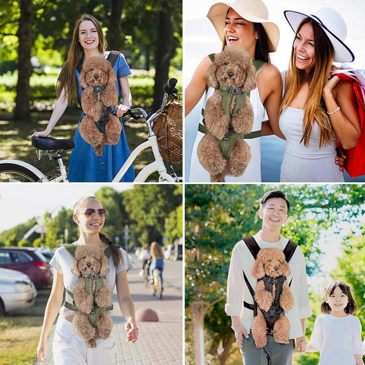 Dog Backpack Carrier with Adjustable Straps and Breathable Mesh for Small to Medium Dogs-Pet Carriers & Travel Products-Levereau-Black-S-Levereau