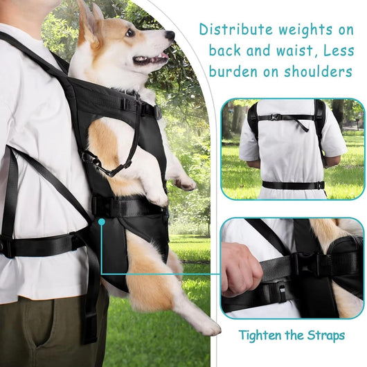 Dog Backpack Carrier with Adjustable Straps and Breathable Mesh for Small to Medium Dogs-Pet Carriers & Travel Products-Levereau-Black-S-Levereau