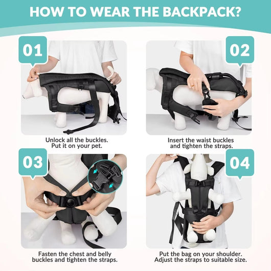 Dog Backpack Carrier with Adjustable Straps and Breathable Mesh for Small to Medium Dogs-Pet Carriers & Travel Products-Levereau-Black-S-Levereau