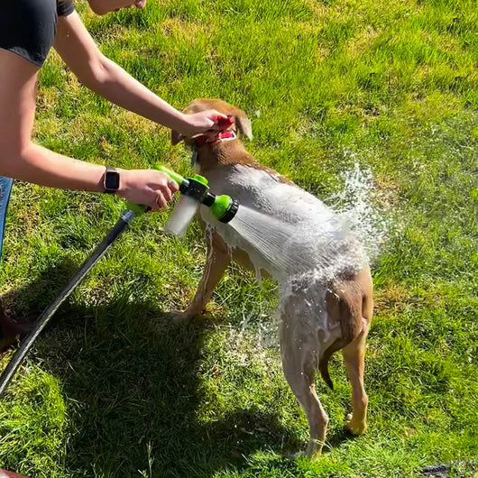 Dog Bath Sprayer with Universal Hose Attachment for All Dog Sizes-Bathing Supplies-Levereau-Green (Most sold)-Levereau