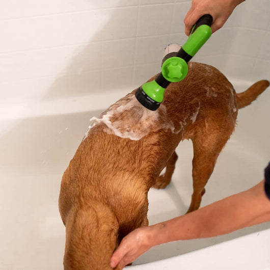 Dog Bath Sprayer with Universal Hose Attachment for All Dog Sizes-Bathing Supplies-Levereau-Green (Most sold)-Levereau