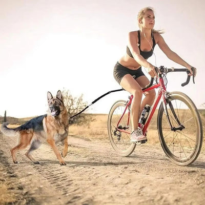 Dog Bicycle Leash with Adjustable Distance Control and Elastic Design for Safe Riding 1