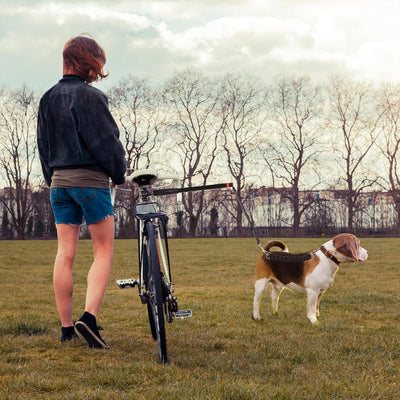 Dog Bicycle Leash with Adjustable Distance Control and Elastic Design for Safe Riding 5