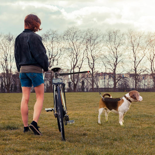 Dog Bicycle Leash with Adjustable Distance Control and Elastic Design for Safe Riding 5