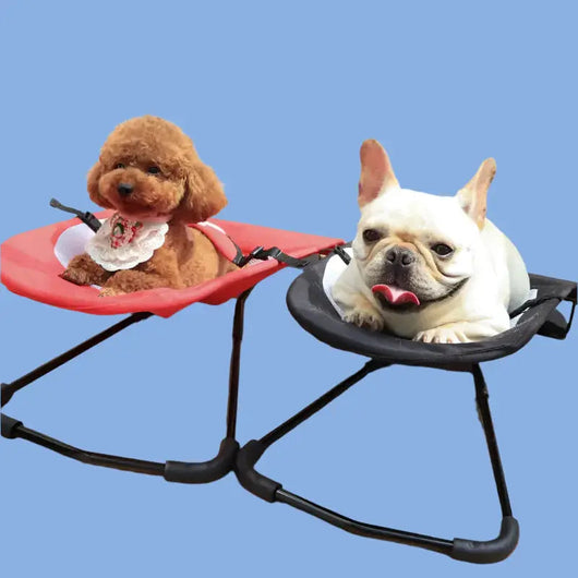 Dog Chair with Non-Slip Frame | Comfortable Rocking Retreat for All Sizes of Pets 2