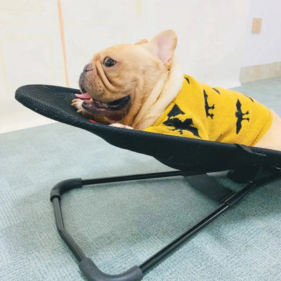 Dog Chair with Non-Slip Frame | Comfortable Rocking Retreat for All Sizes of Pets 3