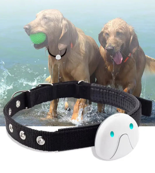 Dog Collar with GPS Tracker and Waterproof Design | for Enhanced Safety and Comfort 2