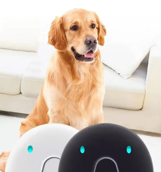 Dog Collar with GPS Tracker and Waterproof Design | for Enhanced Safety and Comfort 3