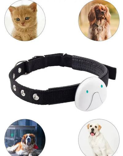 Dog Collar with GPS Tracker and Waterproof Design | for Enhanced Safety and Comfort 4
