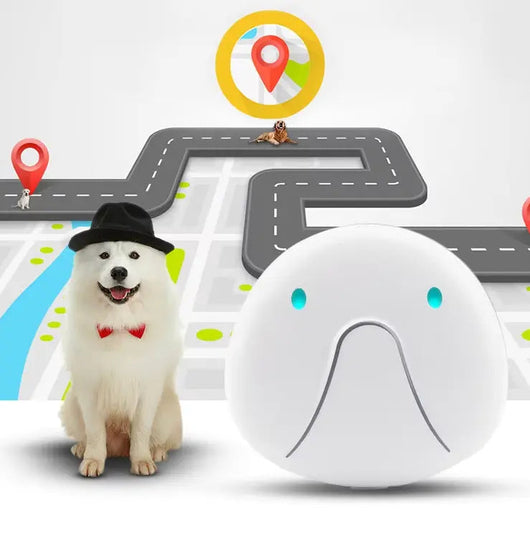 Dog Collar with GPS Tracker and Waterproof Design | for Enhanced Safety and Comfort 5