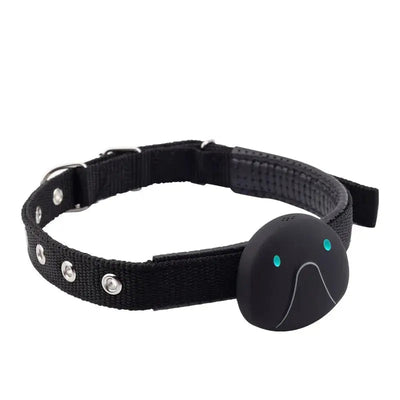 Dog Collar with GPS Tracker and Waterproof Design | for Enhanced Safety and Comfort 7