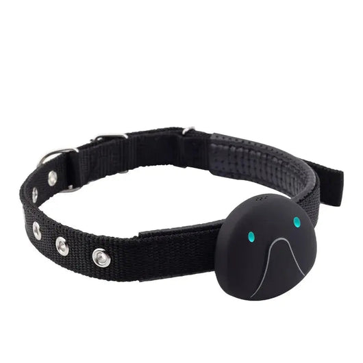 Dog Collar with GPS Tracker and Waterproof Design | for Enhanced Safety and Comfort 7