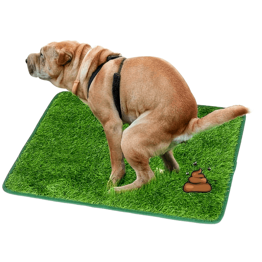 Dog Grass Pee Pad with Non-Slip Backing, Washable and Reusable for Indoor and Outdoor Use 1