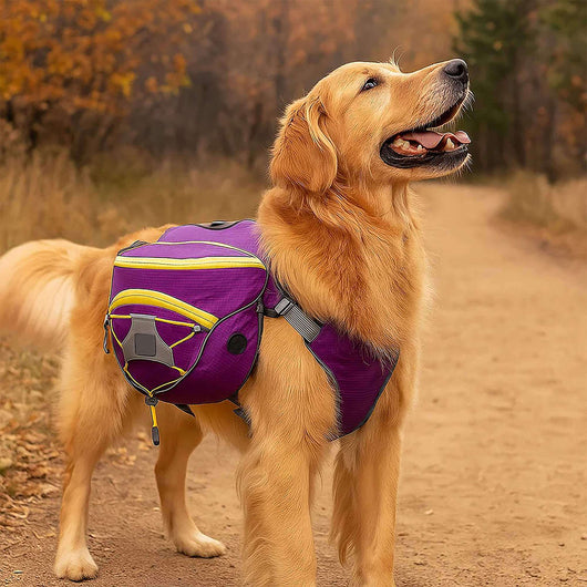 Dog Harness Backpack with Waterproof Pockets and Adjustable Straps for Small to Medium Dogs 4