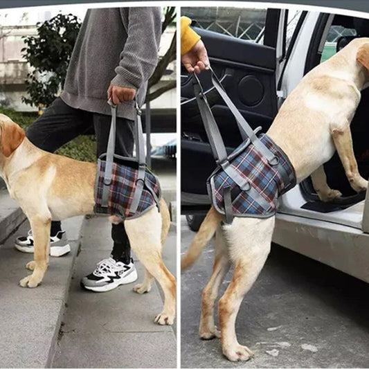 Dog Harness for Mobility Support with Adjustable Fit and Breathable Fabric for Small to XL Dogs-Dog Mobility Aids-Levereau-S-Front wheel-Levereau