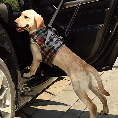 Dog Harness for Mobility Support with Adjustable Fit and Breathable Fabric for Small to XL Dogs-Dog Mobility Aids-Levereau-S-Front wheel-Levereau