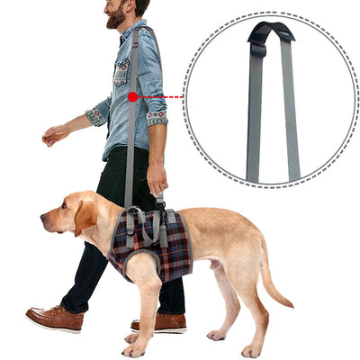 Dog Harness for Mobility Support with Adjustable Fit and Breathable Fabric for Small to XL Dogs-Dog Mobility Aids-Levereau-S-Front wheel-Levereau