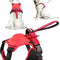 Dog Harness with Handle and Adjustable Fit for Medium to Large Dogs - No Pull Design