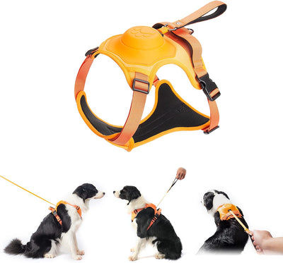 Dog Harness with Handle and Adjustable Fit for Medium to Large Dogs - No Pull Design 10