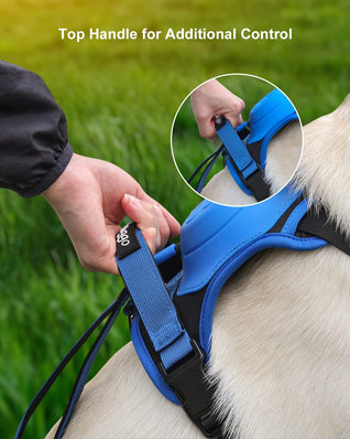 Dog Harness with Handle and Adjustable Fit for Medium to Large Dogs - No Pull Design